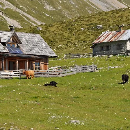 Hauserhof Am Goldberg Apartmán Dellach (Hermagor)