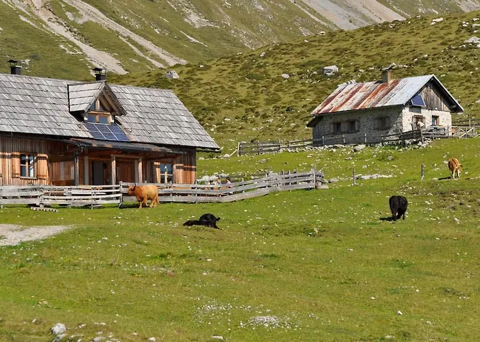 Hauserhof Am Goldberg Διαμέρισμα Dellach (Hermagor)